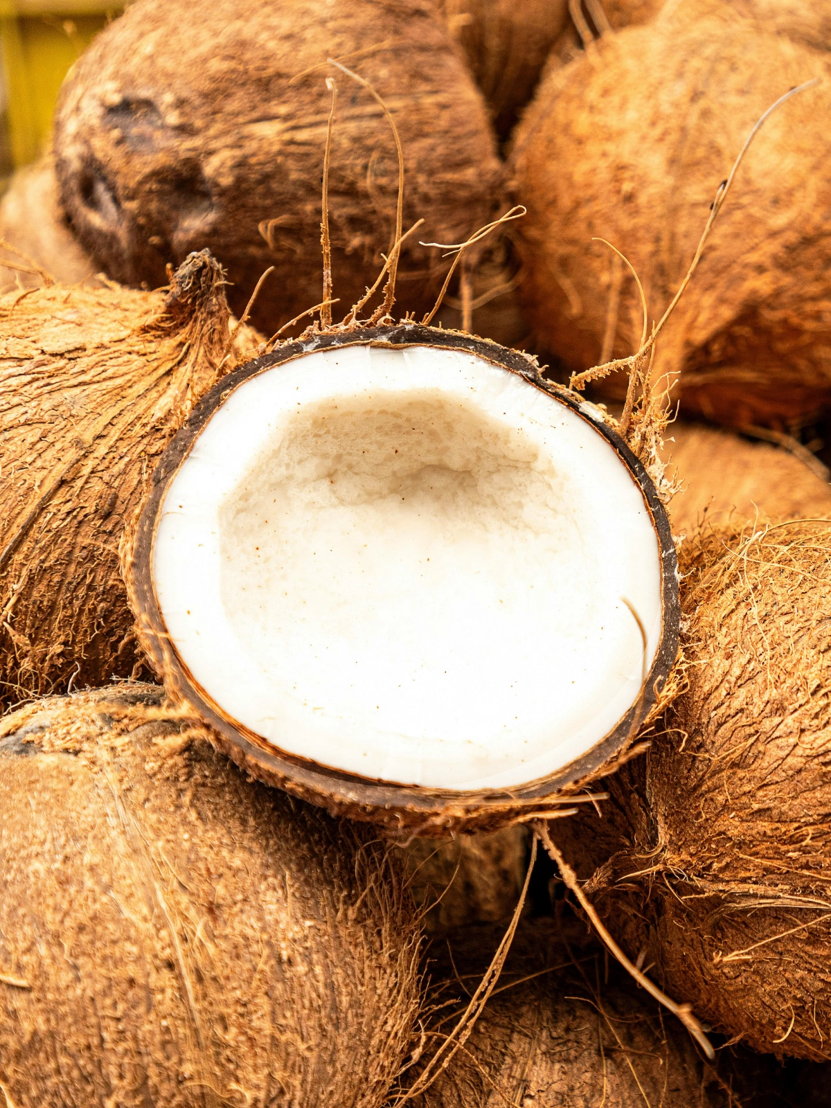 Coconut Oil