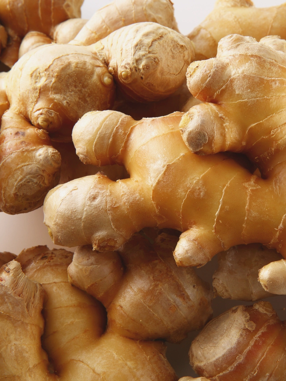 Ginger
