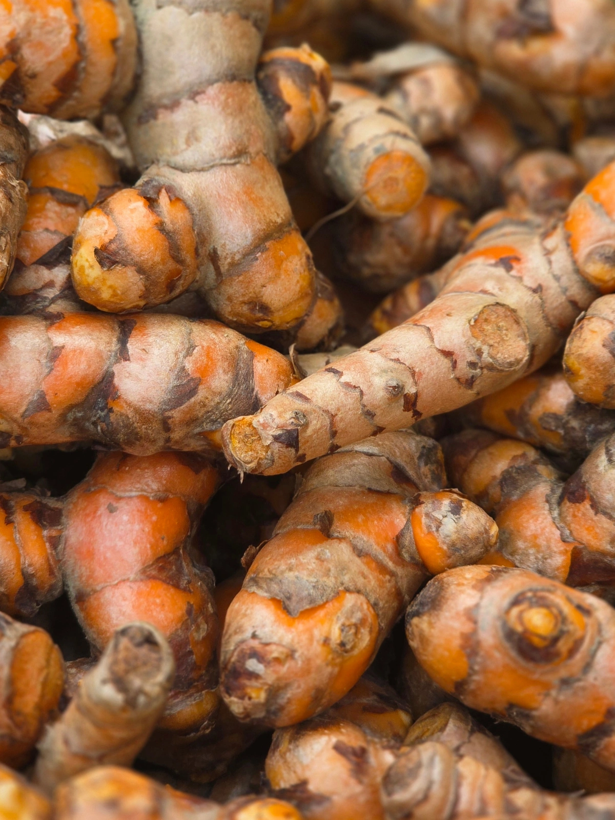 Turmeric